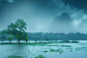 തെക്കുപടിഞ്ഞാറൻ കാലവർഷം ശനിയാഴ്ചയോടെ കേരളത്തില്‍ പെയ്തുതുടങ്ങാൻ സാധ്യതയെന്ന് കാലാവസ്ഥാ നിരീക്ഷണ കേന്ദ്രം.